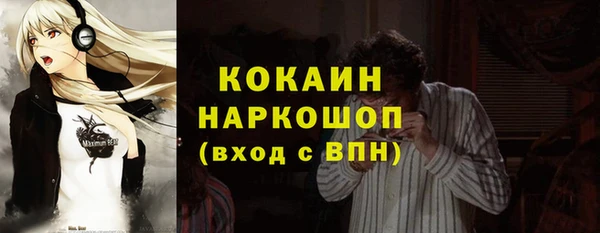 тгк Бородино