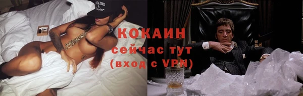 тгк Бородино