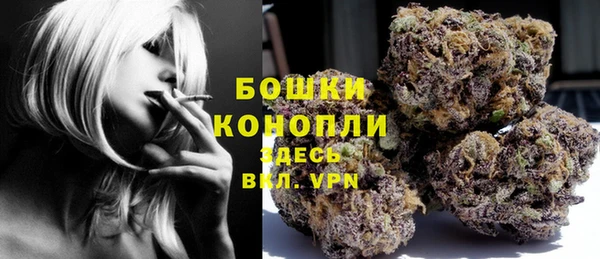 тгк Бородино