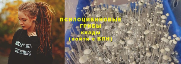 тгк Бородино